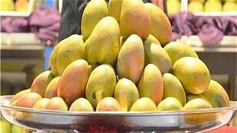لهذه الأسباب.. تحذير خطير من تناول المانجو قبل هذا الموعد 