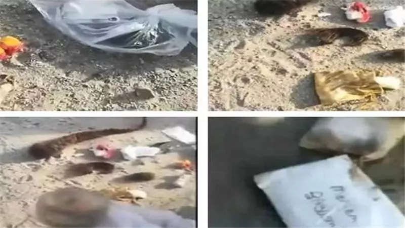 حقيقة العثور على أعمال سحر في جبل عرفات بعد انتهاء موسم الحج 1445 | فيديو