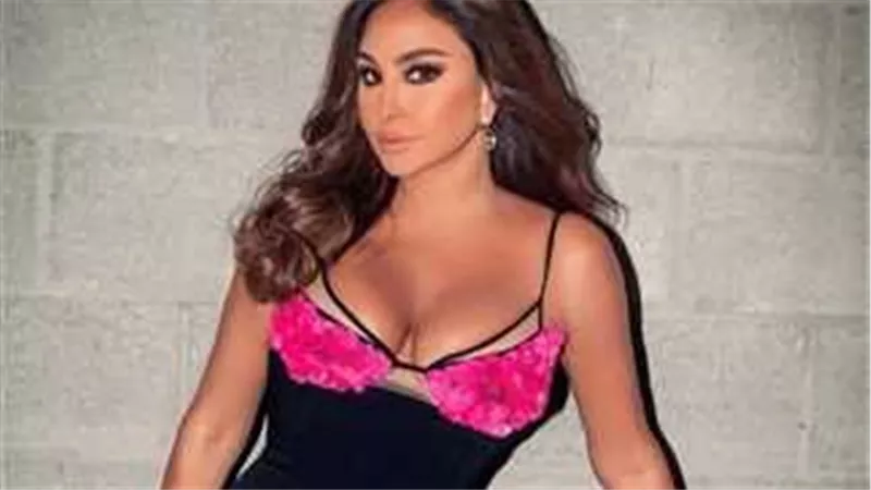 مش هلقد.. معجب يضع إليسا في موقف محرج بسبب احتضانه لها | فيديو