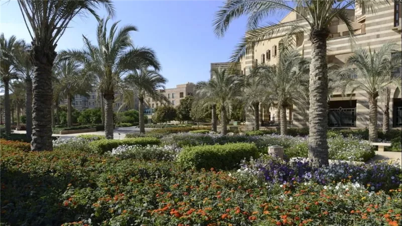 دورية Arab Media & Society تنضم إلى فئة Q1 في تصنيف سكوبس 2025