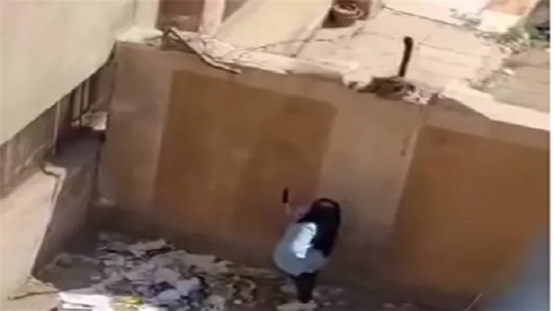 الغش على طريقة اللمبي وفرنسا.. القصة الكاملة لإعادة امتحان الكيمياء لطلاب ثانوية بالدقهلية | فيديو