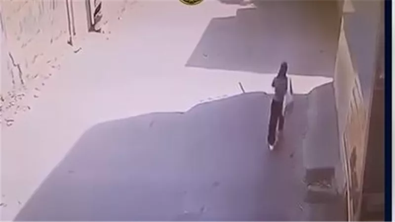 الحرامي خطفه وركب توكتوك.. فيديو مثير يوثق لحظة سرقة هاتف فتاة في شارع بالبحيرة | شاهد