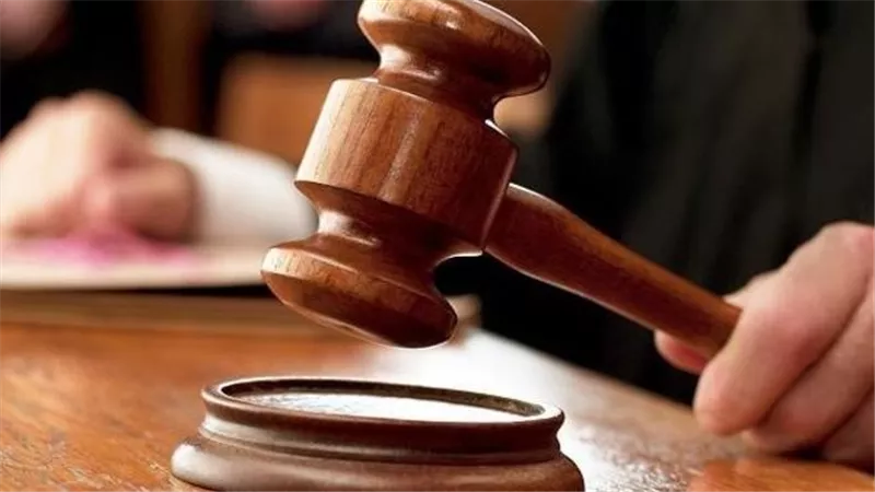 هددوه بكلب.. المشدد 3 سنوات لـ 4 متهمين بضرب شاب في بنها