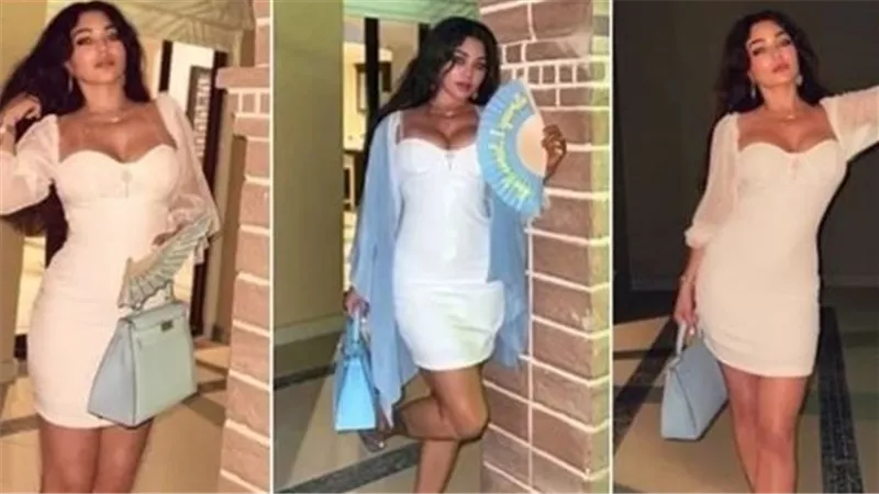 4 ملايين جنيه.. سعر حقيبة هيفاء وهبي بالساحل الشمالي يثير ضجة | شاهد