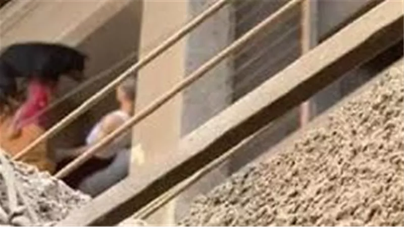 فيديو صادم.. تفاصيل تعذيب وإلقاء كلب من الطابق السادس في المعادي
