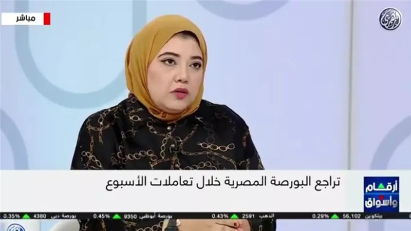 خبيرة اقتصادية: زيادة الضرائب والتكاليف من المعوقات التي تواجه المستثمرين | فيديو
