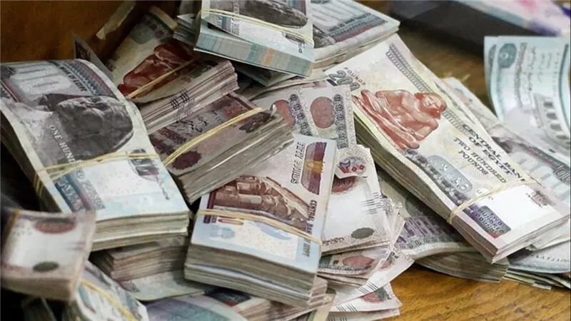 بدون وظيفة.. كيف تحصل على 6500 جنيه شهريا
