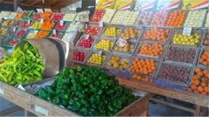 هتنزل 30%.. موعد انخفاض أسعار الخضروات والفاكهة بالأسواق | فيديو