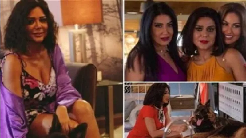 مشهد جري مع كلب ويوتيوبر ومليون جنيه.. تفاصيل مثيرة جديدة عن أزمة فيلم التاروت