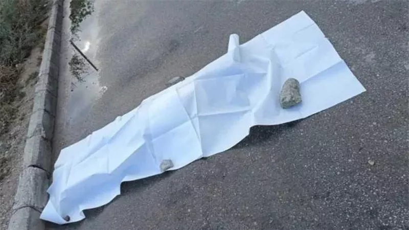 قطع رأسها على السور.. سر الجريمة 291 التي هزت الشارع التركي 