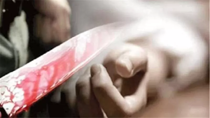 قطعها ورماها للكلاب.. تفاصيل إحالة المتهم بقتل جارته في النهضة إلى الجنايات 