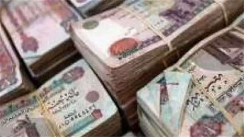 بقرار حكومي.. تفاصيل صرف إعانة اجتماعية لهؤلاء المواطنين