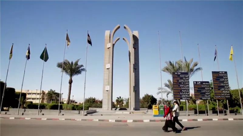 أول تعليق لرئيس جامعة حلوان بعد تعديل مسمى 