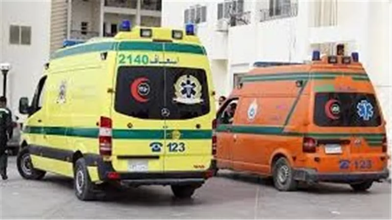 السبب صادم.. أربعيني يشرع في إنهاء حياة زوجته ونجليه بفأس في سوهاج