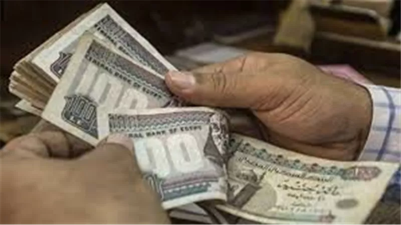 شهرين تعويض لهذه الفئة.. تفاصيل قانون العمل الجديد