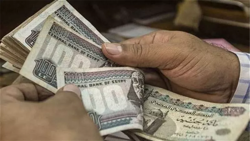 امتيازات خاصة.. موعد تطبيق قانون المعاش المبكر لمواليد الثمانينات