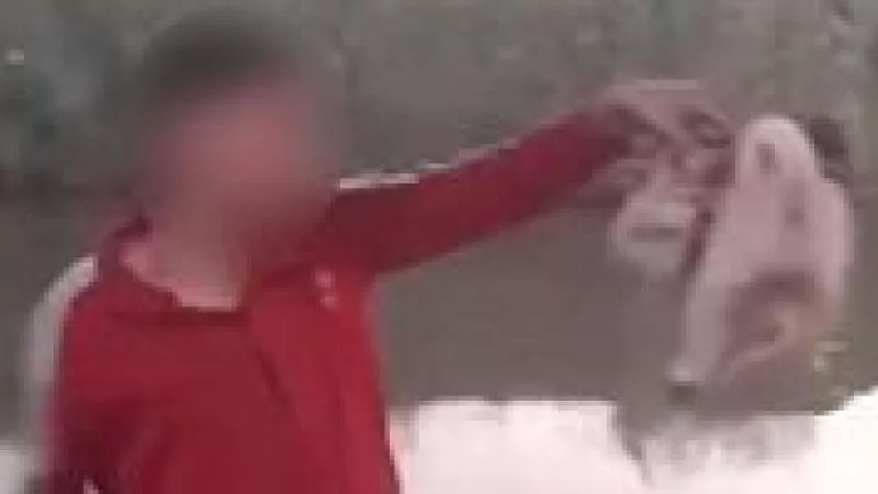 تعدوا على كلب وابتزوا سيدة.. تفاصيل القبض على المتهمين الـ5 في أسيوط