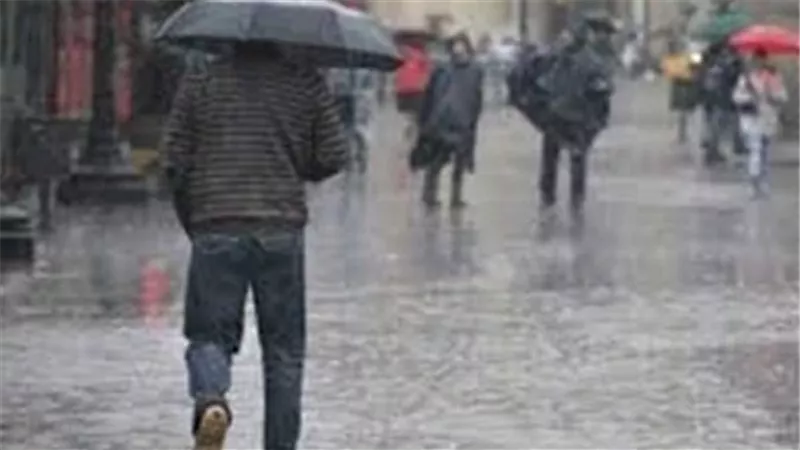حالة الطقس اليوم الإثنين 11-11-2024