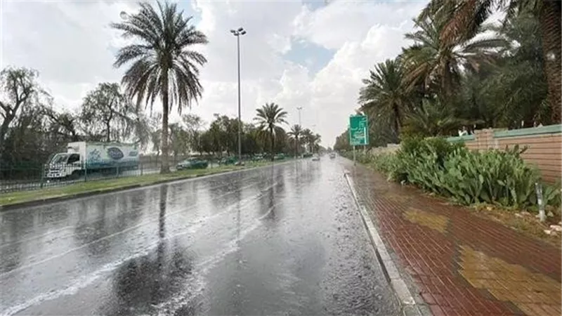رياح وشبورة.. الأرصاد تحذر من حالة الطقس غدا الخميس 14-11-2024