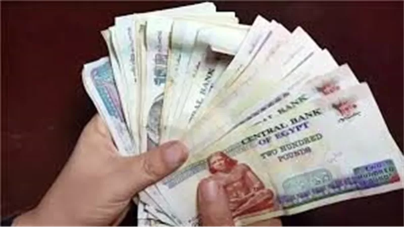 قرار من القضاء بشأن دعوى تطبيق الحد الأدنى للأجور لأصحاب المعاشات