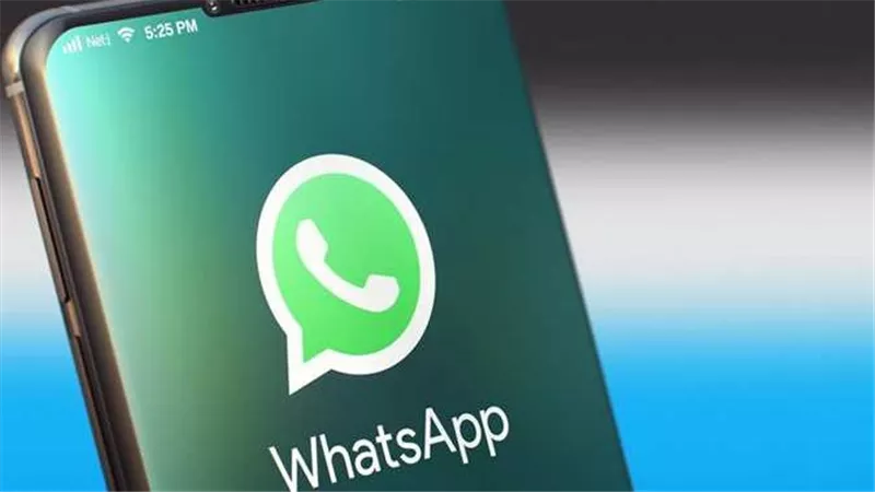 «خلي بالك من العصفورة».. كيف يمكن لمجموعات «واتساب» أن تتسبب في طردك من العمل؟