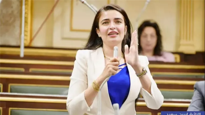 زيادة 30 %.. أول تحرك برلماني بشأن رفع أسعار باقات الإنترنت الأرضي 