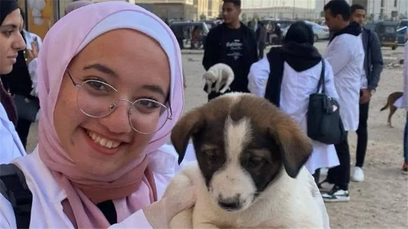 كلية الطب البيطري بالجامعة المصرية الصينية تطلق حملة لإنقاذ حيوانات الشوارع (صور)