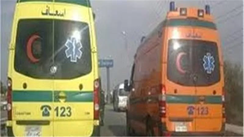 ماتوا حاضنين بعض..تفاصيل مأساوية في مصرع أم وطفليها بحريق شقة سكنية بالمنيل 