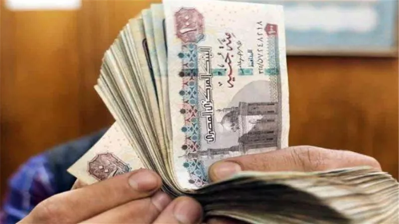  موعد صرف مرتبات ديسمبر..علاوة دورية 3% للموظفين بمشروع قانون العمل الجديد 