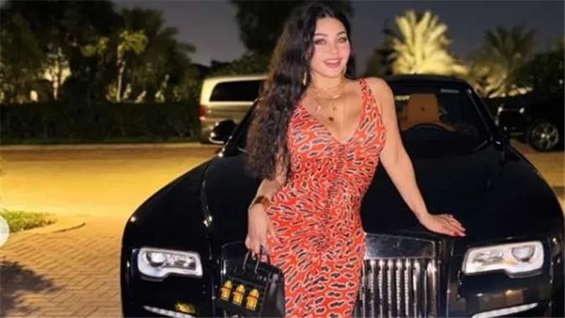 من مدير أعمالها.. تفاصيل مثيرة في شكوى تتهم هيفاء وهبي بسب المصريين
