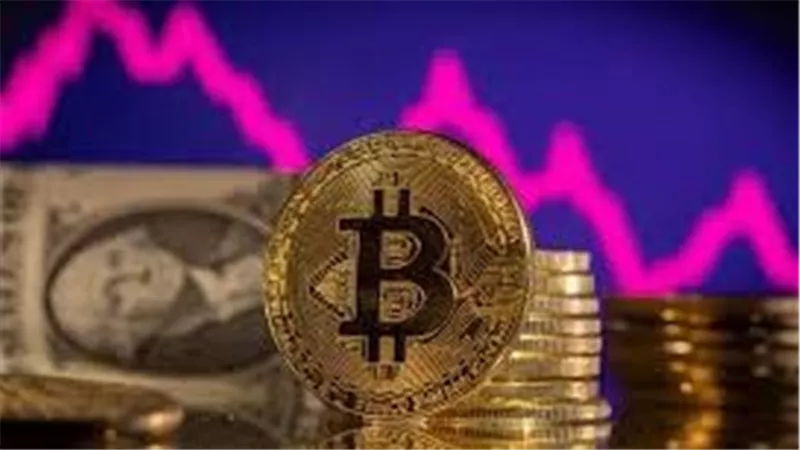 لن تتوقعه.. نبات يتخطى سعر عملة البيتكوين موجود في بيتك فما القصة؟
