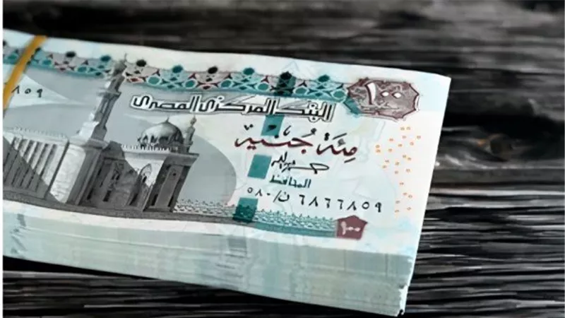  بعد قرار المالية رسميًا.. موعد صرف مرتبات شهر يناير 2025 وجدول الحد الأدنى للأجور 