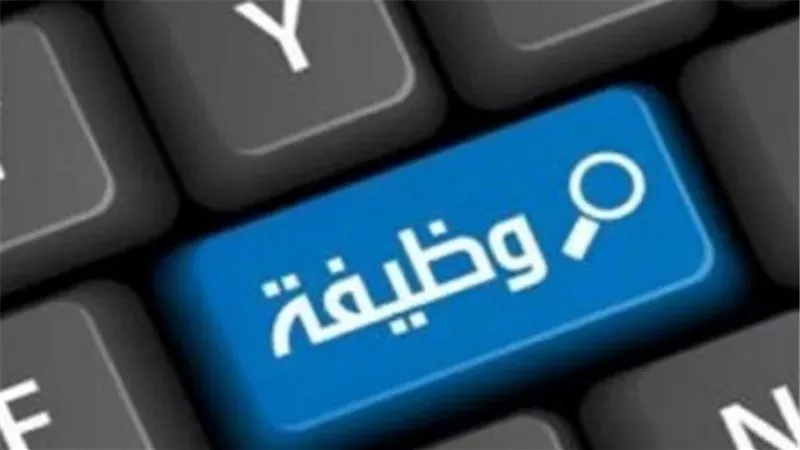  50 وظيفة وتخصص واحد.. فرص عمل جديدة في الإمارات