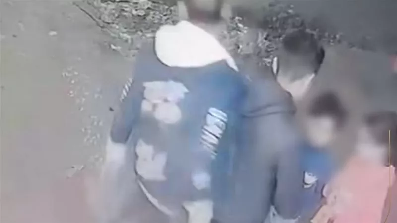 لحظات مرعبة.. فيديو يوثق محاولة اختطاف طفل بالإسكندرية في دقيقة | شاهد