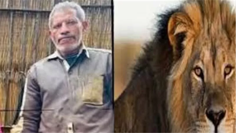 4 بنات اتيتموا.. تفاصيل مأساوية جديدة عن ضحية أسد الفيوم