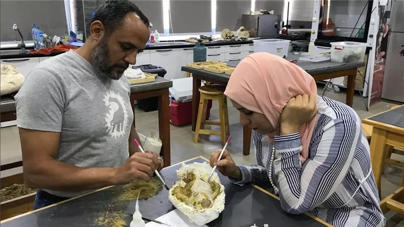 أستاذ حفريات بالجامعة الأمريكية يكتشف جمجمة لآكل لحوم مفترس استوطن مصر قبل 30 مليون سنة