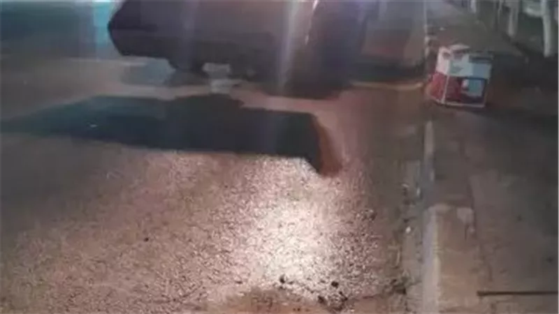 مظهره مُرعب.. حيوان نافق يثير الجدل في بورسعيد | شاهد