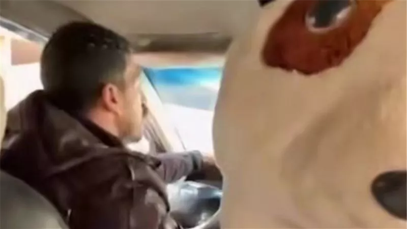  مش هتنزلى من العربية.. حكاية سائق تطبيق النقل الذكى والفتاة الاجنبية بالقاهرة 