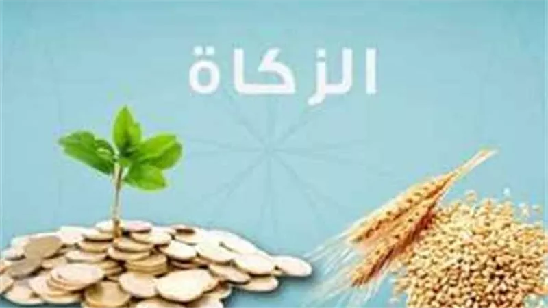 حبوب أم مال؟.. قيمة زكاة الفطر 2025 وكيفية احتسابها وآخر موعد لإخراجها 