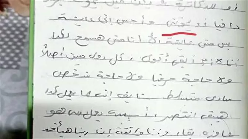 كتبت عن أستاذها: شخص سادي متسلط.. مأساة وفاة طالبة الطب تهز المنوفية