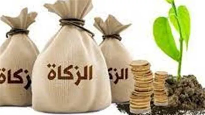 فتوى خاطئة منتشرة.. الإفتاء تكشف حكم تعجيل إخراج زكاة الفطر 2025