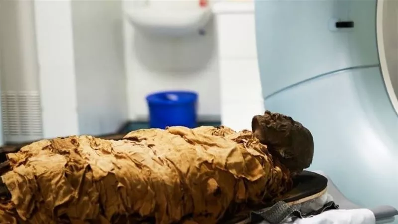 ماذا وجدوا؟.. علماء يكتشفون لغز المومياء الحامل بعد سنوات من الغموض