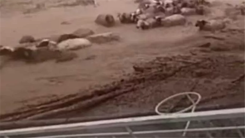 فيديو السيول الجارفة.. هل هو «انتقام إلهي» بسبب قرار ملك المغرب بإلغاء ذبح الأضاحي؟ | شاهد
