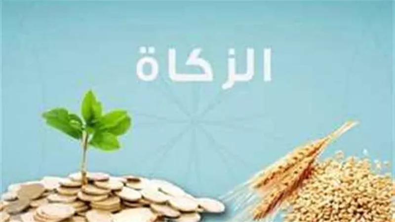 زكاة الفطر 2025 في مصر.. قيمتها وآخر موعد لإخراجها وكيفية حسابها