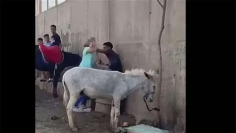 بسبب حمار.. القصة الكاملة لاشتباك سائحة بالأيدي مع شاب بمنطقة أبو الهول | فيديو