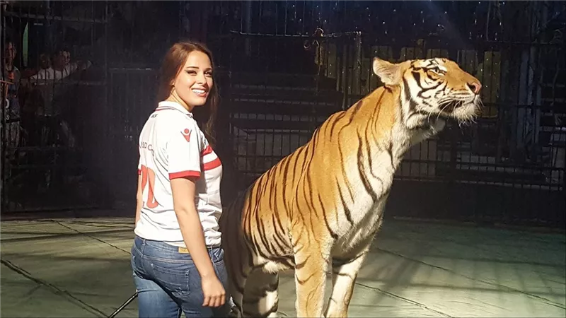  مدرب مساعد من 5 سنين.. أنوسة كوتة تكشف مفاجآت جديدة في واقعة التهام نمر يد عامل سيرك طنطا 