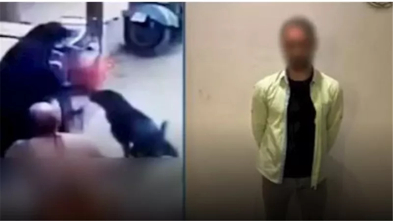 سيب عليها كلب شرس.. مفاجآت مثيرة في فيديو سيدة الغربية الصادم | شاهد