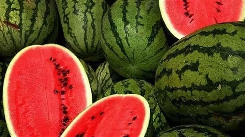  قبل ما تشتري.. علامات تحميك من تسمم البطيخ 