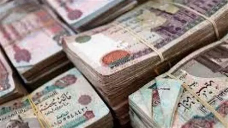 تعرف على سبب عدم تطبيق الحد الأدنى للأجور في بعض الشركات