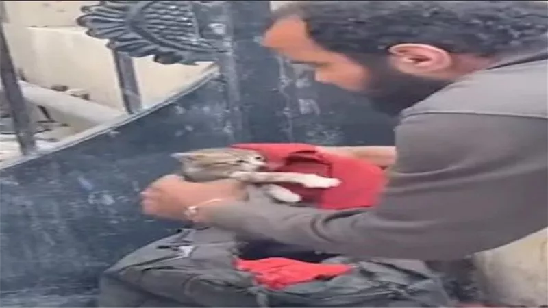 أنا المهدي المنتظر.. تفاصيل القبض على شخص يقيد القطط داخل حقيبة بالجيزة